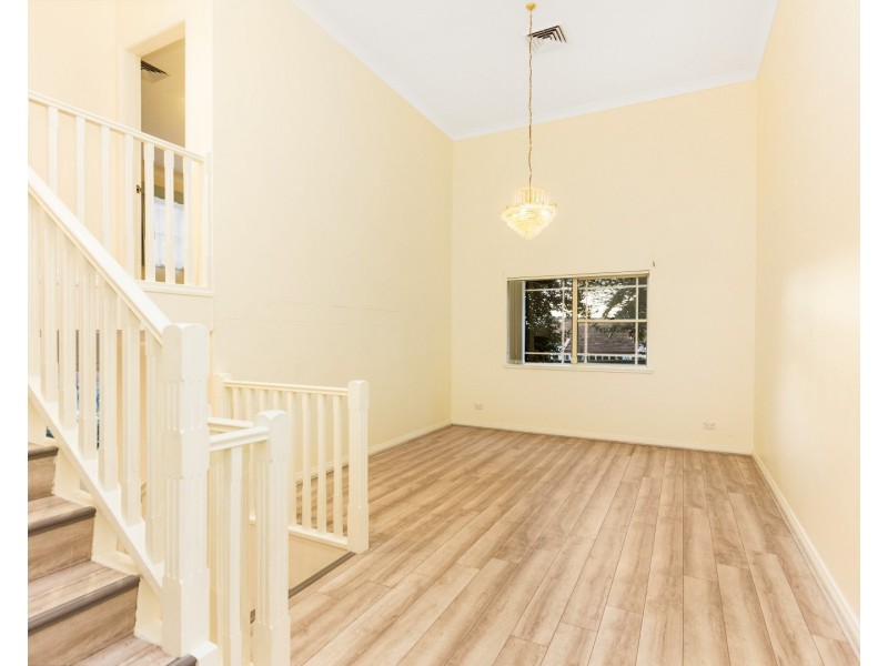 17 Bertram Street, Chatswood NSW 2067