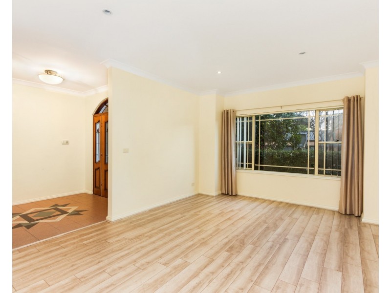 17 Bertram Street, Chatswood NSW 2067