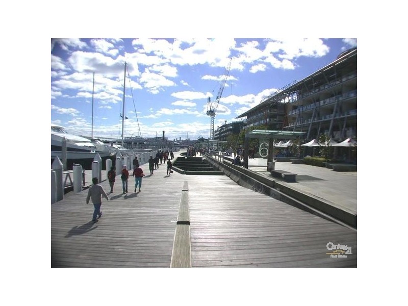 35 Shelley St, Sydney NSW 2000