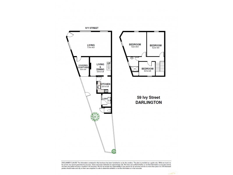 59 Ivy St, Darlington NSW 2008 Floorplan