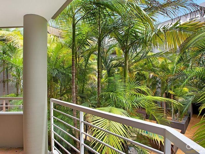 7/100 Cleveland Street, Chippendale NSW 2008