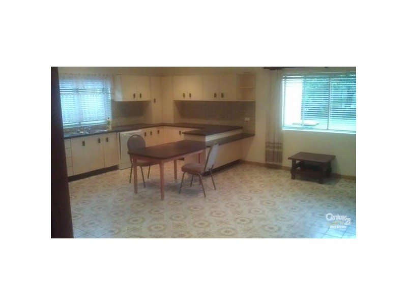 19 Earlwood Avenue, Earlwood NSW 2206