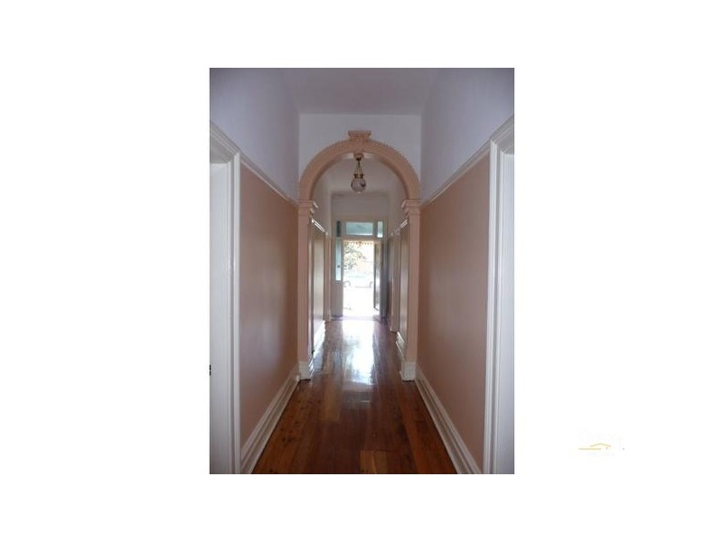 16 Dunmore Street, Bexley NSW 2207