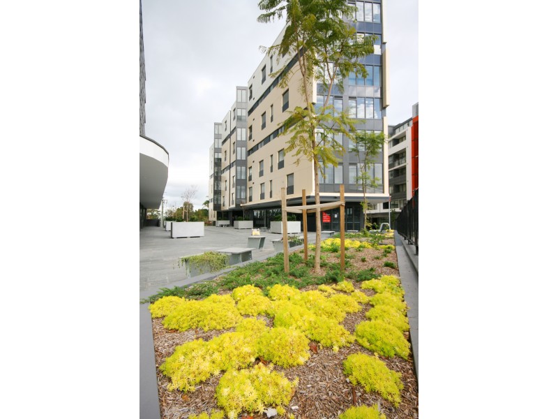 503/1 Wharf Rd, Gladesville NSW 2111