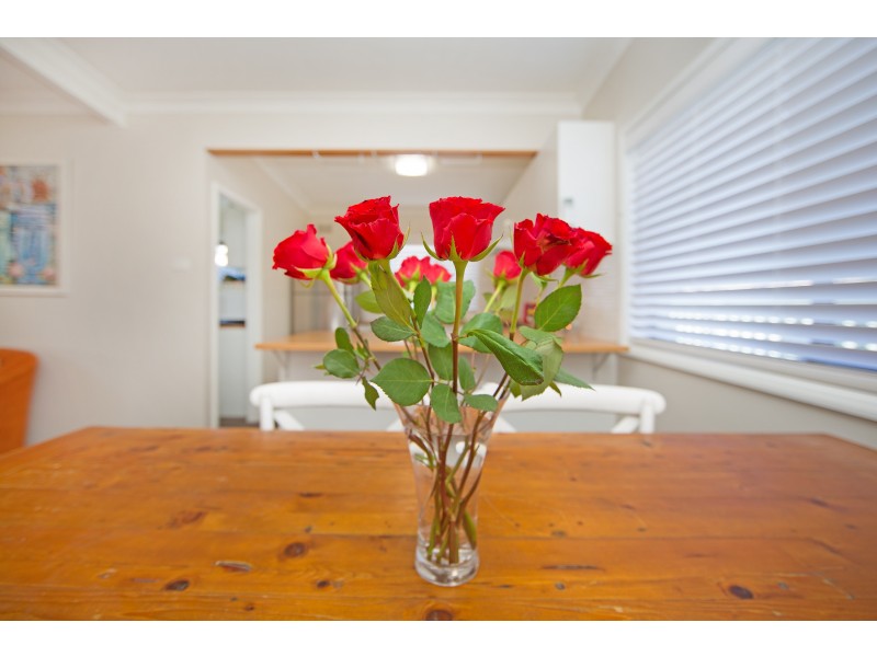 Canton Beach NSW 2263