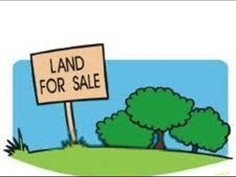 South Granville NSW 2142