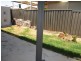Smithfield NSW 2164