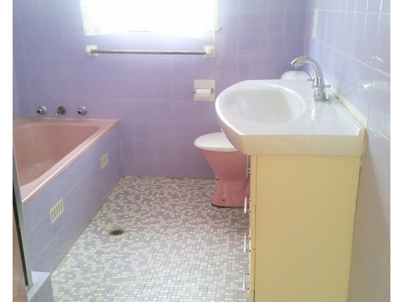 117 Neville Street, Smithfield NSW 2164