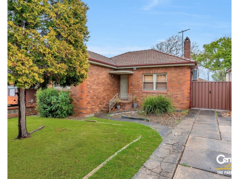 22 Mount Lewis Avenue, Punchbowl NSW 2196