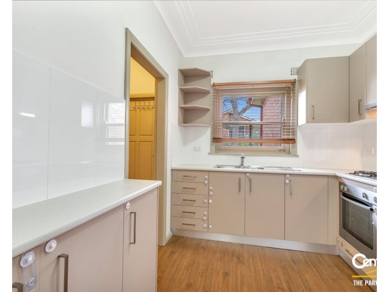 22 Mount Lewis Avenue, Punchbowl NSW 2196