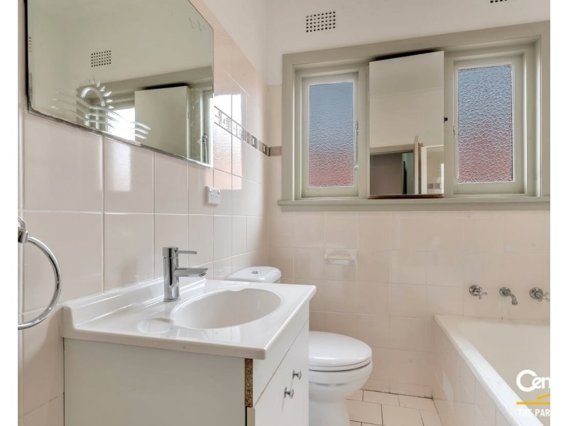 22 Mount Lewis Avenue, Punchbowl NSW 2196