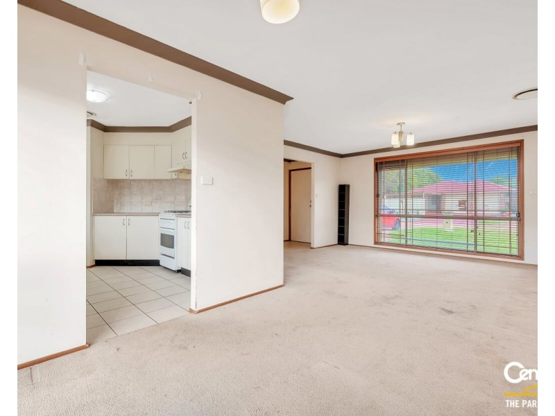 14 Alice Place, Cecil Hills NSW 2171