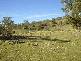 Mudgee NSW 2850