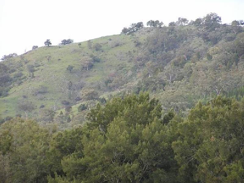 Mudgee NSW 2850