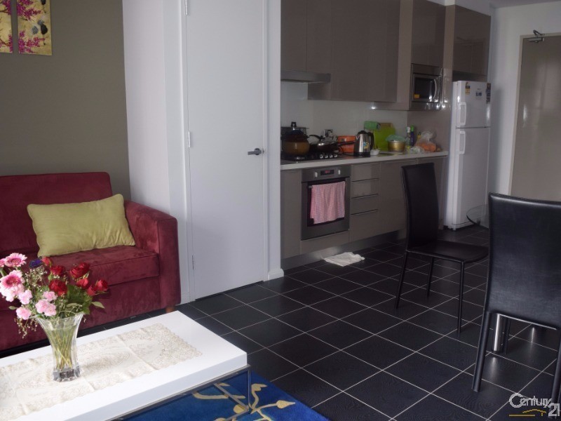 217/2 Meredith Avenue, Rhodes NSW 2138