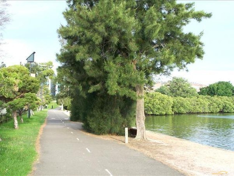 21/143 Bowden Street, Meadowbank NSW 2114