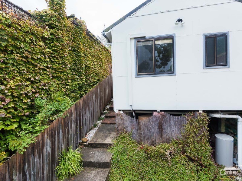 17 Caroline Street, Earlwood NSW 2206