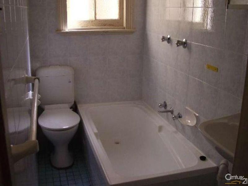 6 The Avenue, Petersham NSW 2049