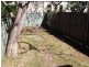 6 The Avenue, Petersham NSW 2049