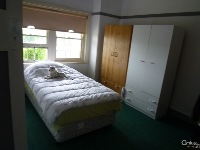 13 Cronulla Street, Carlton NSW 2218