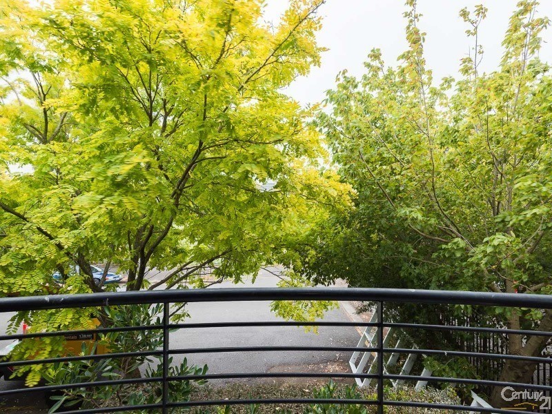 17/44-58 Belmont Street, Alexandria NSW 2015