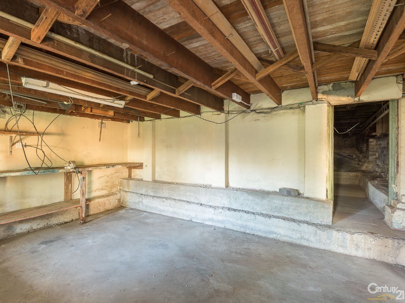 32  Mount Street, Hurlstone Park NSW 2193