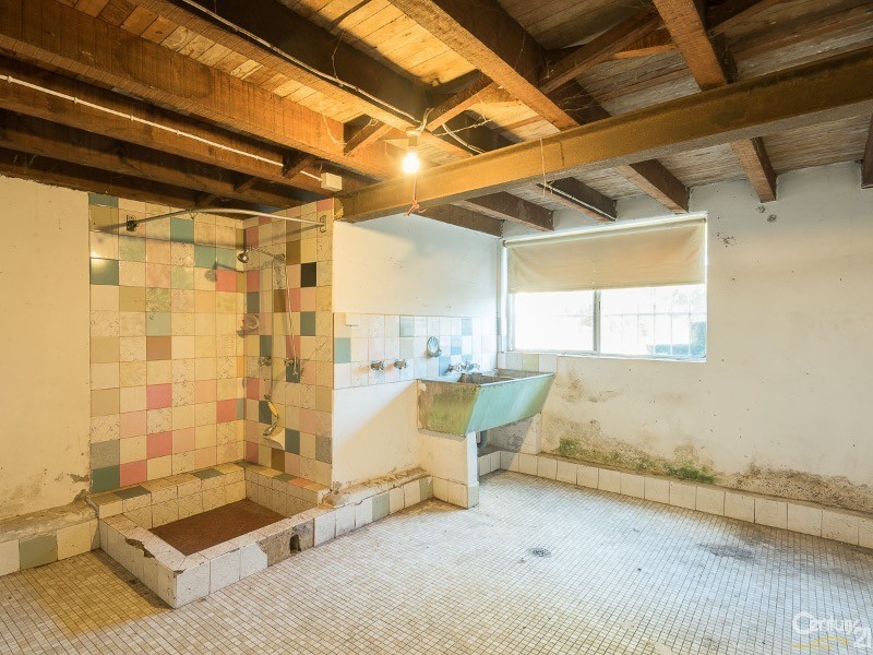 32  Mount Street, Hurlstone Park NSW 2193