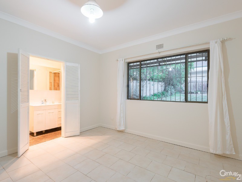 17 Mount Street, Hurlstone Park NSW 2193
