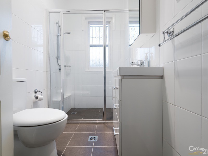 17 Mount Street, Hurlstone Park NSW 2193