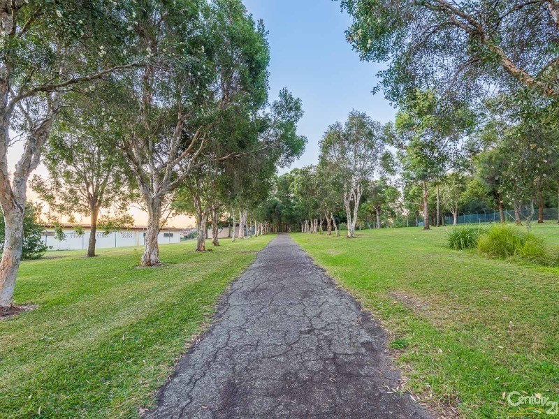 17 Mount Street, Hurlstone Park NSW 2193