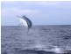 Narooma NSW 2546