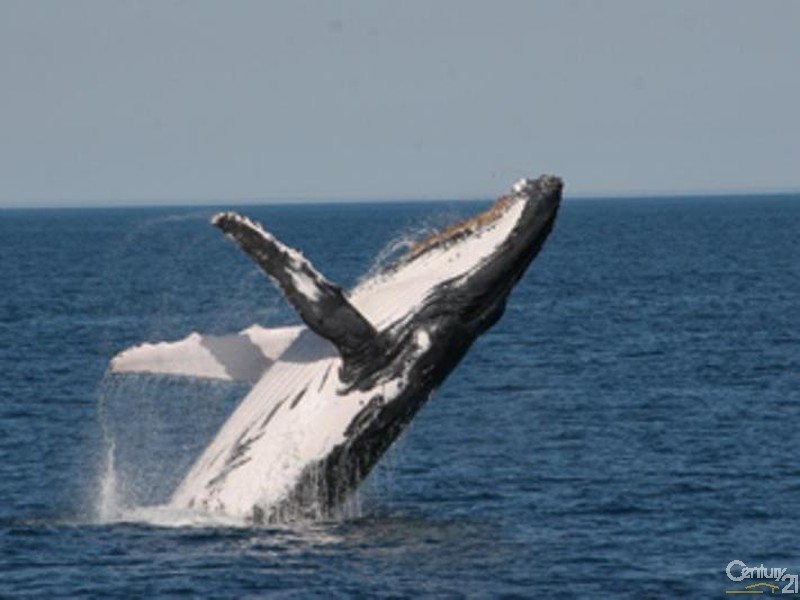 Narooma NSW 2546