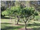 555 Punkalla Tilba Road, Central Tilba NSW 2546