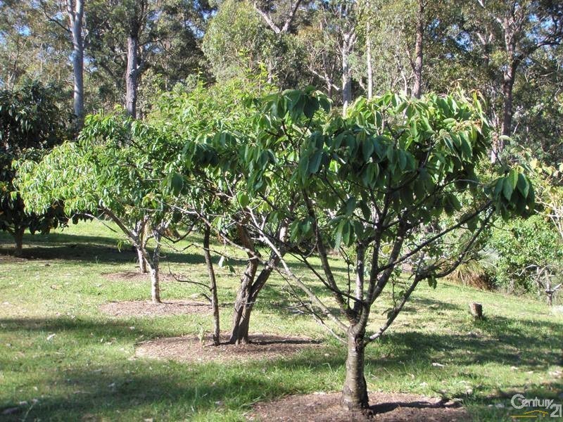 555 Punkalla Tilba Road, Central Tilba NSW 2546