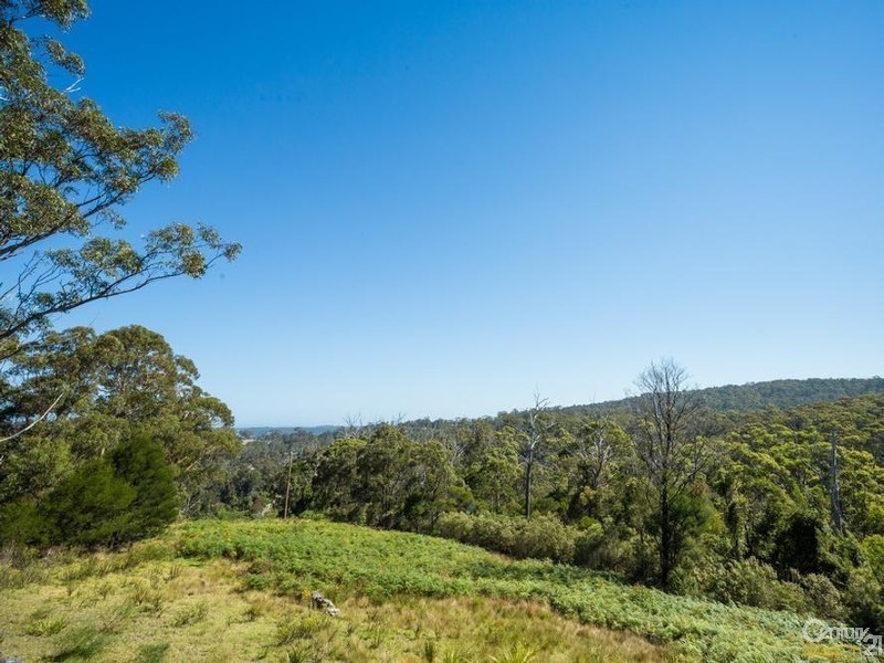 253 Kianga Forest Rd Kianga NSW 2546, Kianga NSW 2546
