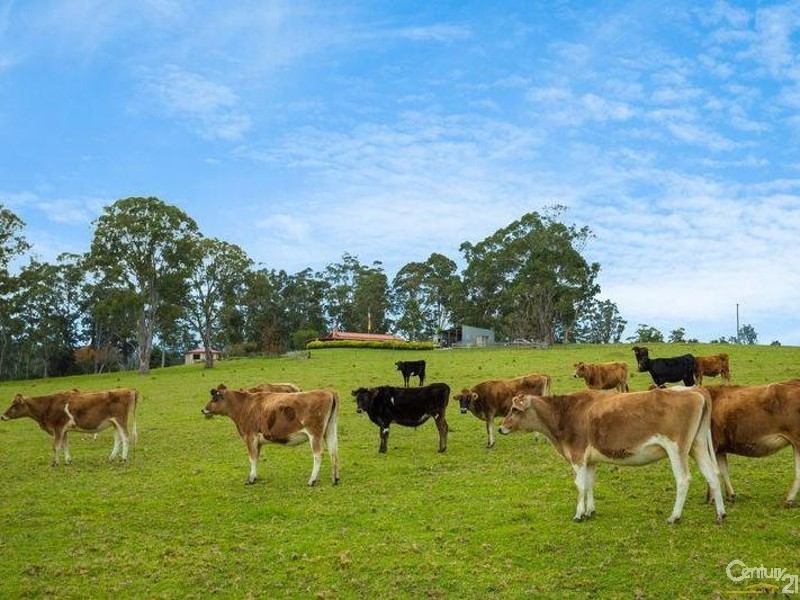 11229 Princes Highway, Cobargo NSW 2550