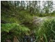 11229 Princes Highway, Cobargo NSW 2550