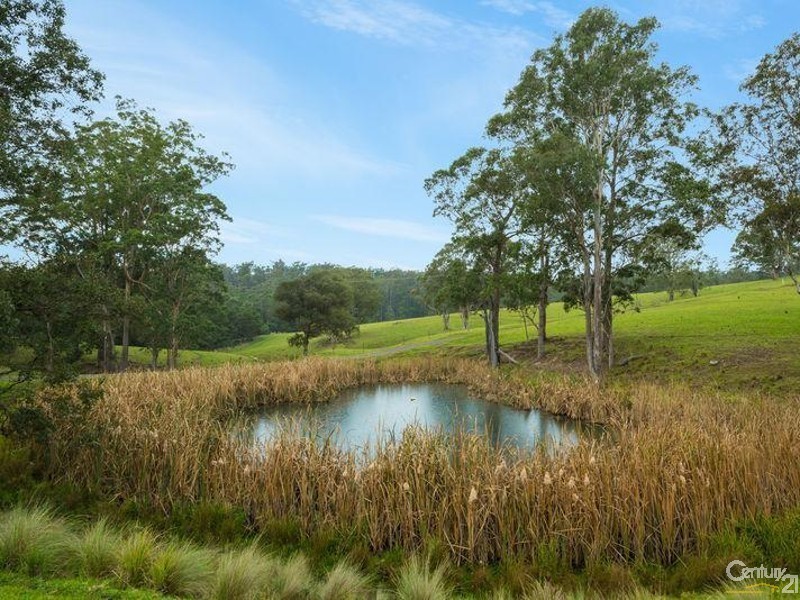 11229 Princes Highway, Cobargo NSW 2550
