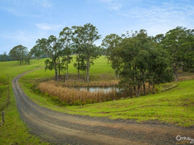 11229 Princes Highway, Cobargo NSW 2550