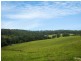 11229 Princes Highway, Cobargo NSW 2550