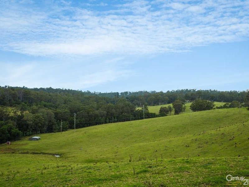 11229 Princes Highway, Cobargo NSW 2550