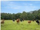 11229 Princes Highway, Cobargo NSW 2550