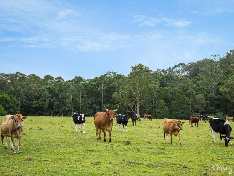 11229 Princes Highway, Cobargo NSW 2550