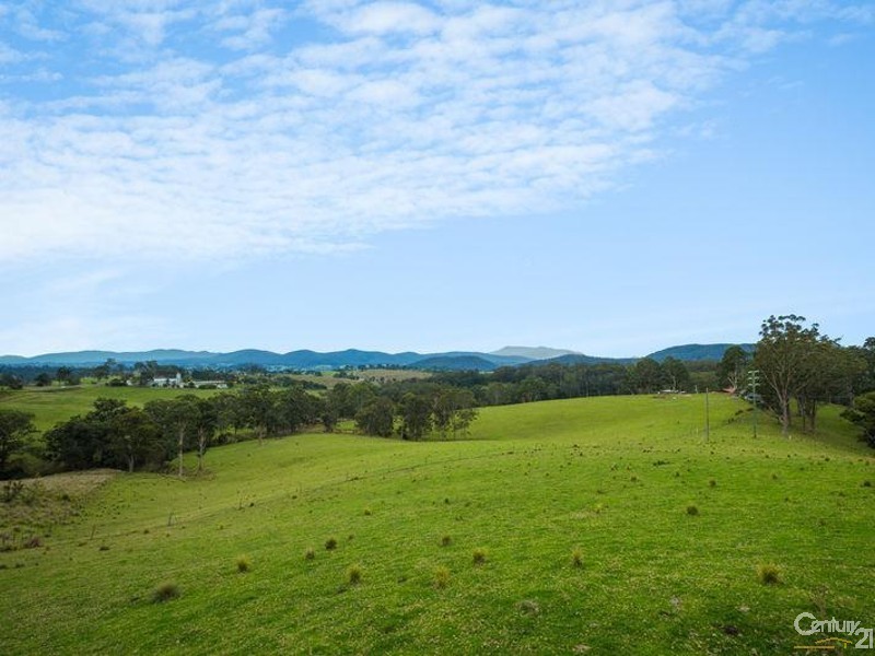 11229 Princes Highway, Cobargo NSW 2550