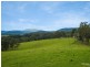 11229 Princes Highway, Cobargo NSW 2550
