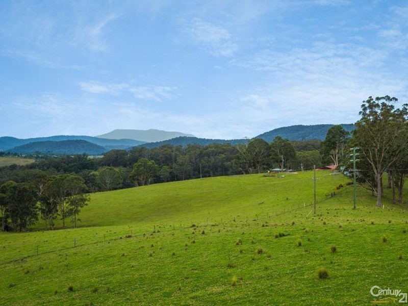 11229 Princes Highway, Cobargo NSW 2550