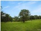 11229 Princes Highway, Cobargo NSW 2550