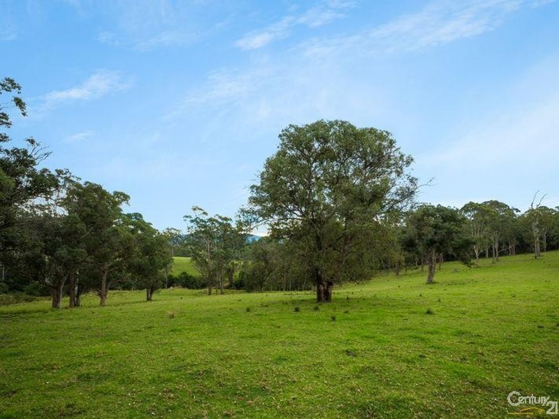 11229 Princes Highway, Cobargo NSW 2550