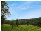 11229 Princes Highway, Cobargo NSW 2550