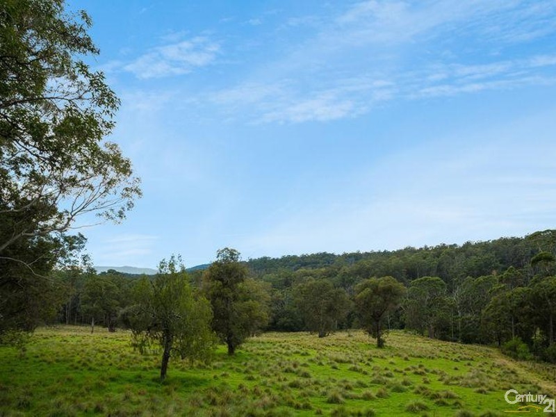 11229 Princes Highway, Cobargo NSW 2550